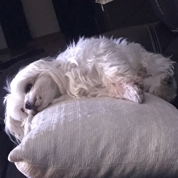 Meet your Posher, Laurie - Picture 5 of 8